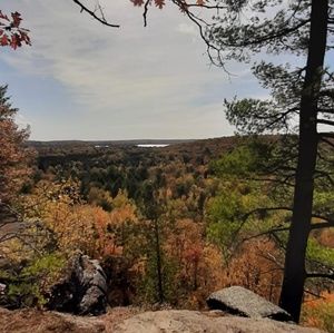 Meet your Posher, Claire